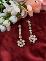 Load image into Gallery viewer, Rosegold AD earring