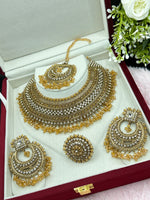 Load image into Gallery viewer, Pakistani Naziya Champagne Semi Bridal Set