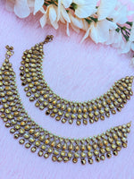 Load image into Gallery viewer, पायल