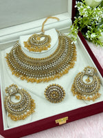 Load image into Gallery viewer, Pakistani Naziya Champagne Semi Bridal Set