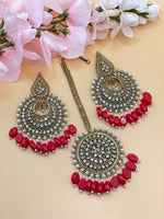 Load image into Gallery viewer, सफीना पाकिस्तानी टिक्का सेट