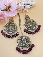 Load image into Gallery viewer, सफीना पाकिस्तानी टिक्का सेट