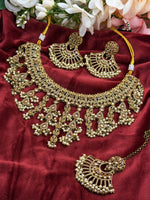 Load image into Gallery viewer, Shama Polki Choker set