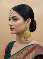 Load image into Gallery viewer, Peepal leaf Golden Pakistani Tikka Set