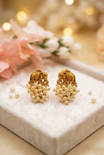 Load image into Gallery viewer, Rajwadi Elephant studs