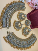 Load image into Gallery viewer, Pakistani Naziya Champagne Semi Bridal Set
