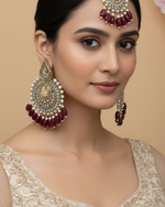 Load image into Gallery viewer, सफीना पाकिस्तानी टिक्का सेट